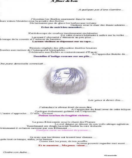 Aurore de l'�clipse du r�ve.