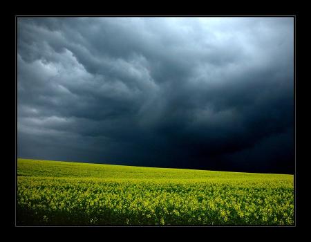 Quand l'encre devient spiritu-r�ve.