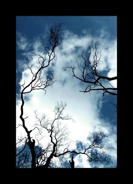 Lunes de lueurs� Bleues�Toi, mon Air st�le - Ere...