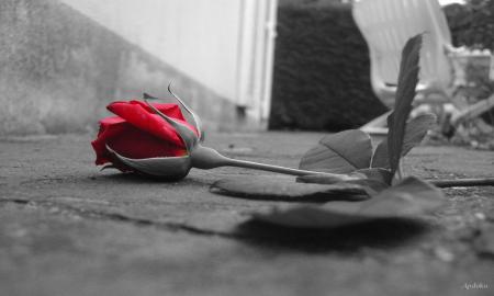 Lunes de lueurs... Bleues...