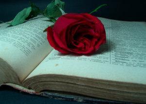 Petite pr�cision...