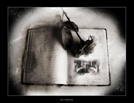 Encre rebelle go�tant aux �toiles