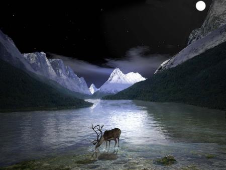 Je n'ai que mon �me... R�ponse suite...